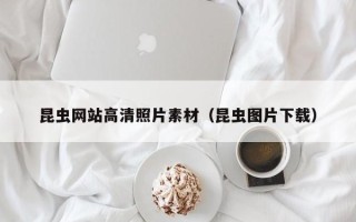大庆昆虫网站高清照片素材（昆虫图片下载）